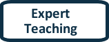 Expert Teaching